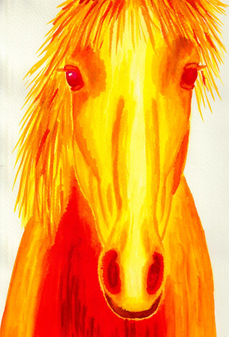 Phoenix and Firehorse - coaching met paarden die je brandende verlangen werkelijkheid maakt